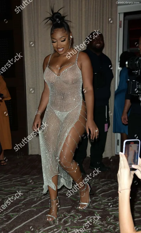 Megan Thee Stallion photo 14 of 1985