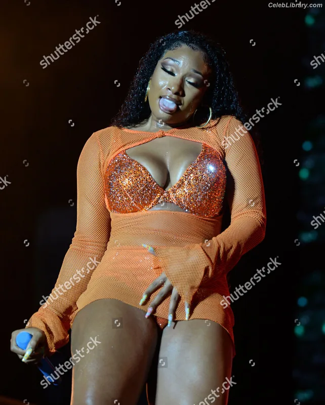Megan Thee Stallion photo 21 of 1985