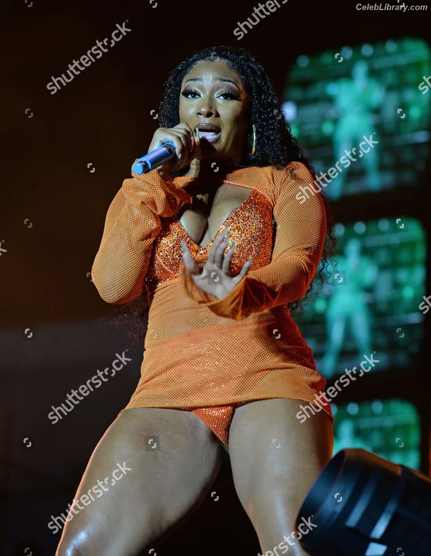 Megan Thee Stallion photo 22 of 1985