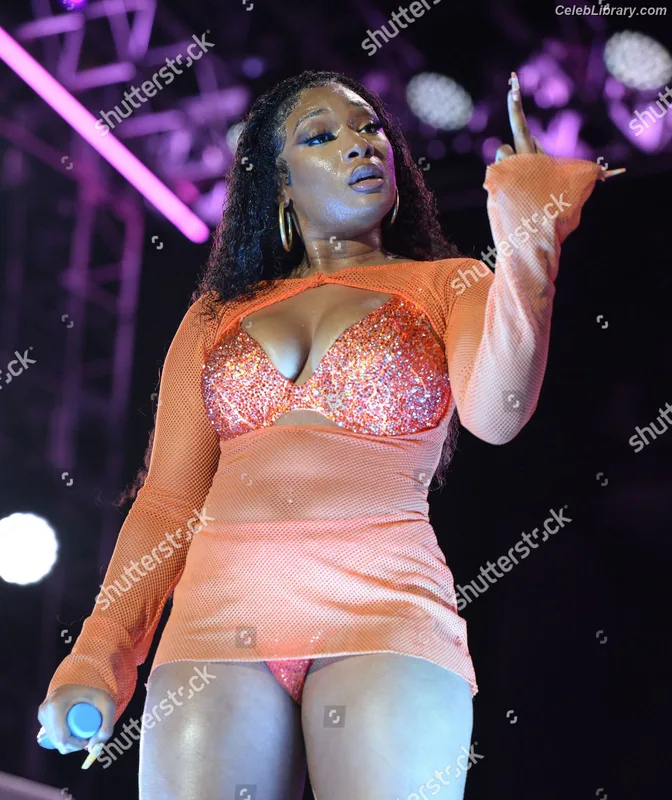 Megan Thee Stallion photo 23 of 1985