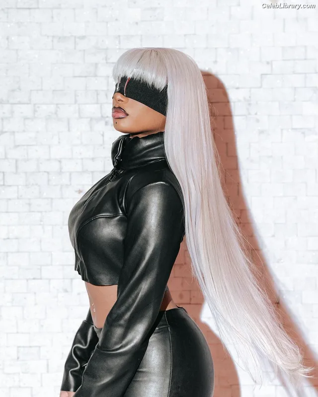 Megan Thee Stallion photo 6 of 1985