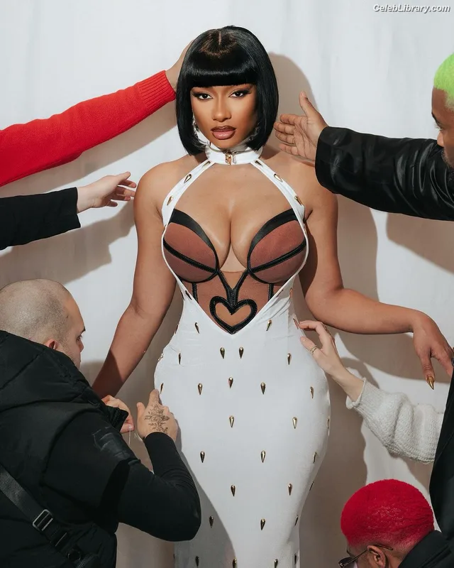 Megan Thee Stallion photo 13 of 1985