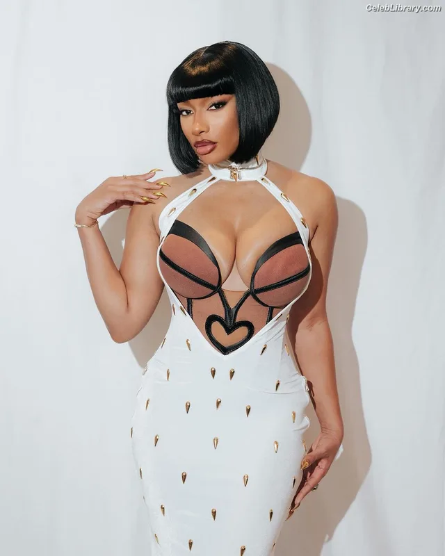 Megan Thee Stallion photo 16 of 1985
