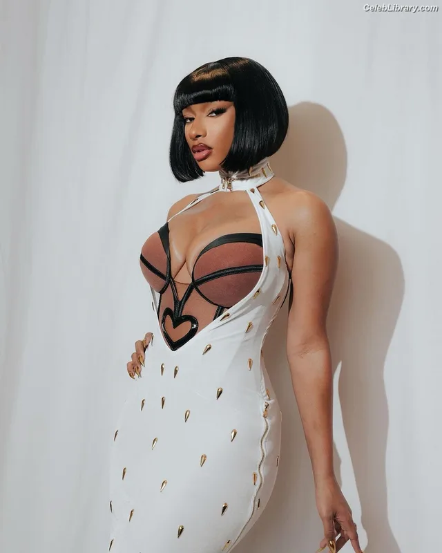 Megan Thee Stallion photo 17 of 1985