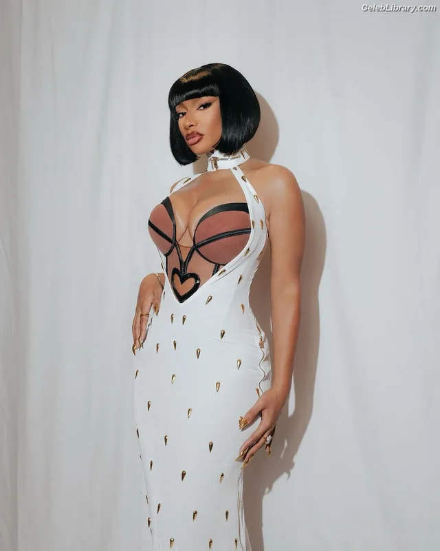 Megan Thee Stallion photo 19 of 1985