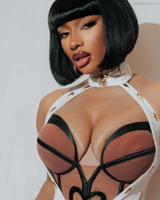 Megan Thee Stallion photo 20 of 1985