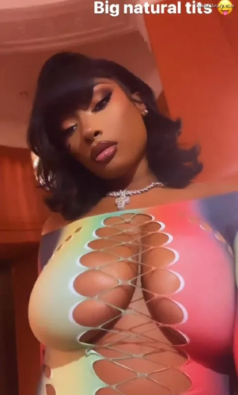 Megan Thee Stallion photo 21 of 1985