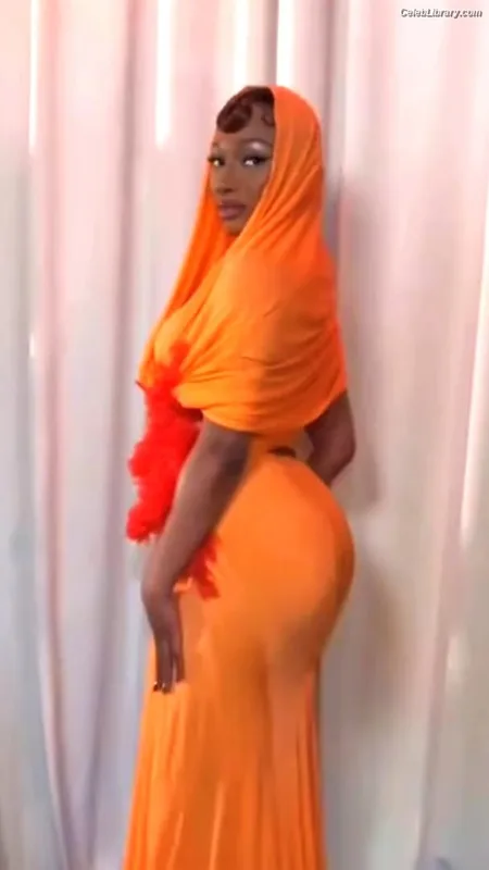 Megan Thee Stallion photo 22 of 1985