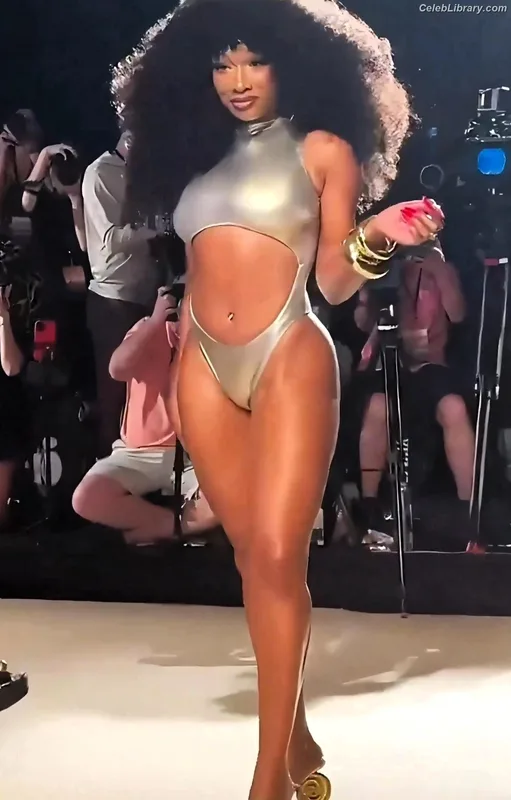 Megan Thee Stallion photo 24 of 1985
