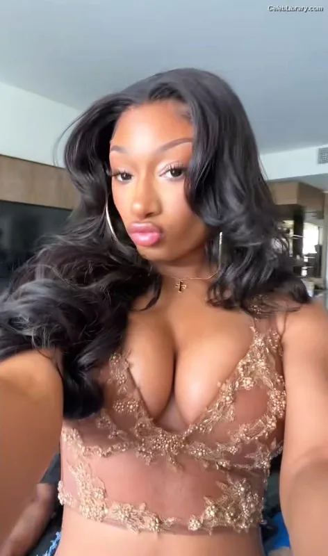 Megan Thee Stallion photo 7 of 1985