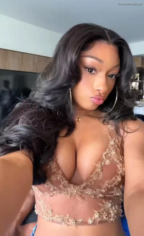 Megan Thee Stallion photo 8 of 1985