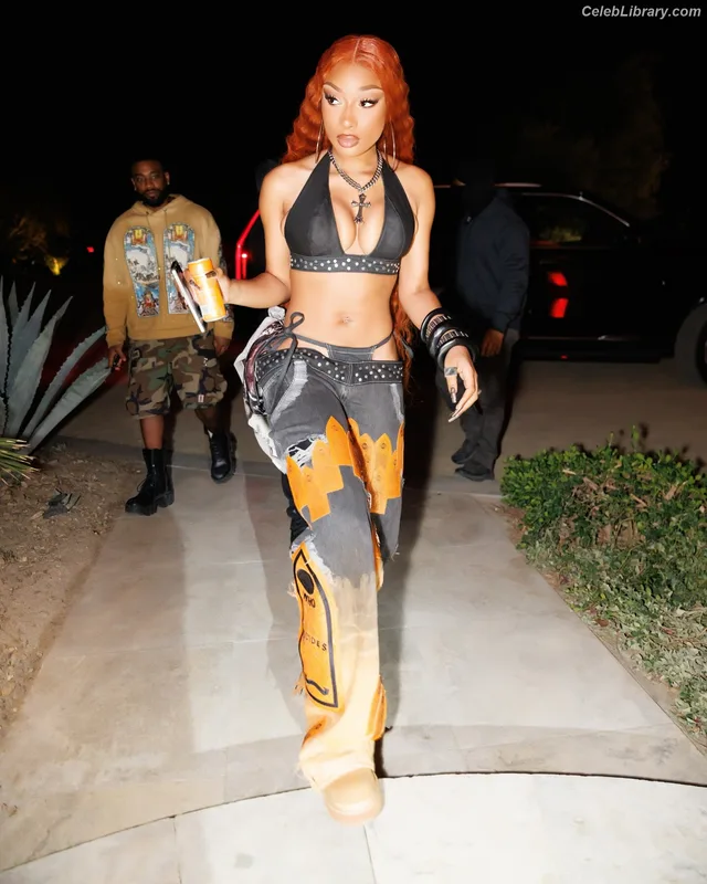 Megan Thee Stallion photo 23 of 1985