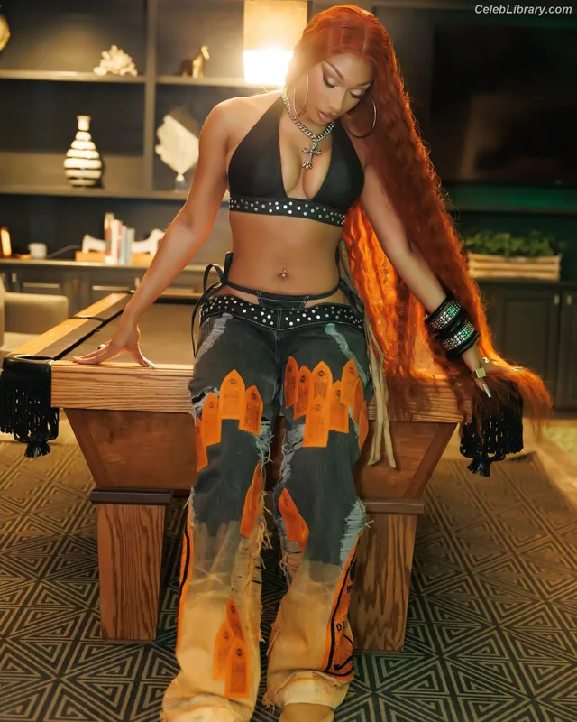 Megan Thee Stallion photo 1 of 1985