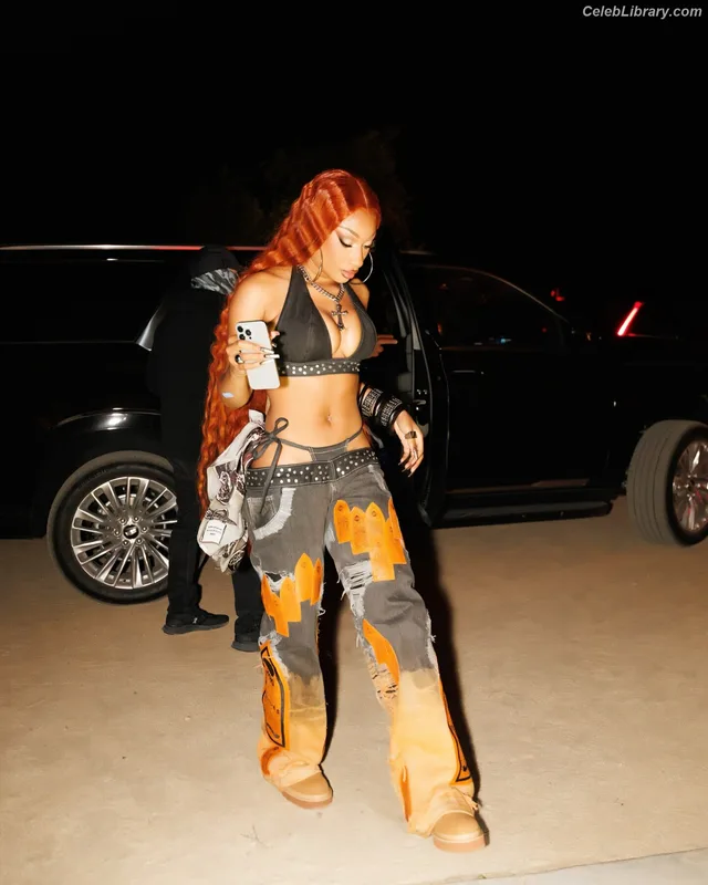 Megan Thee Stallion photo 2 of 1985