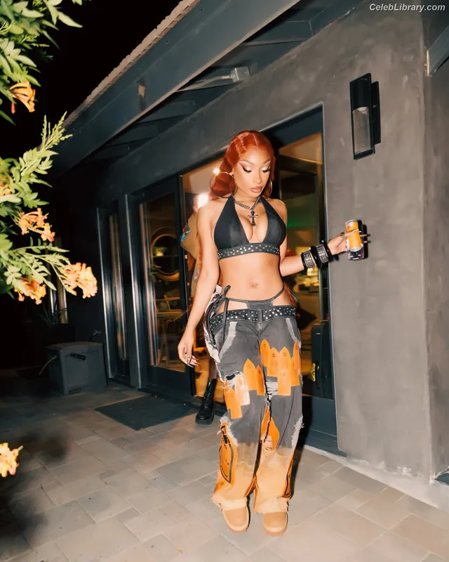 Megan Thee Stallion photo 3 of 1985