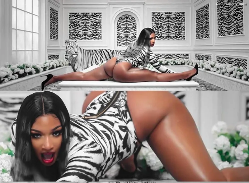 Megan Thee Stallion photo 9 of 1985