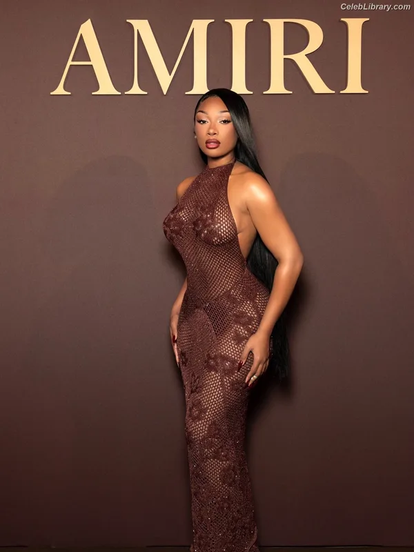 Megan Thee Stallion photo 3 of 1985
