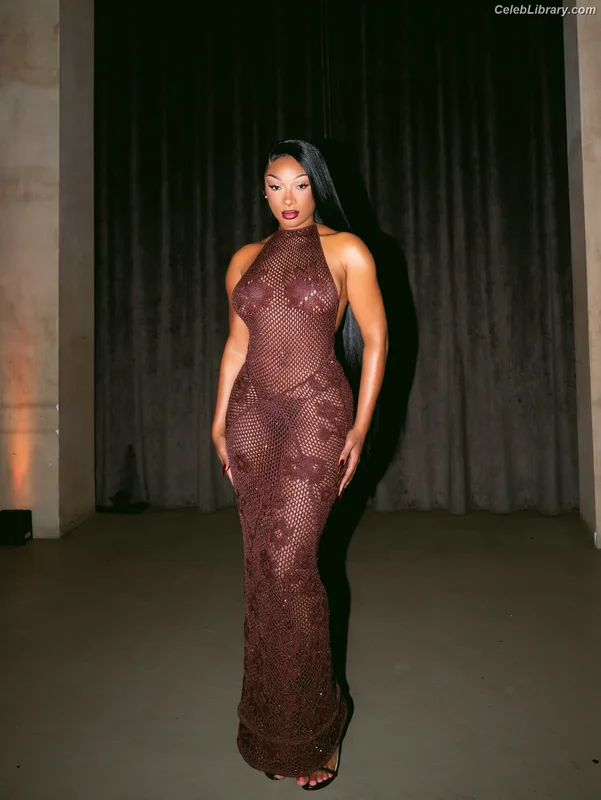 Megan Thee Stallion photo 11 of 1985
