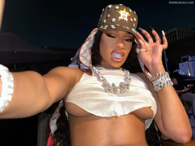 Megan Thee Stallion photo 23 of 1985