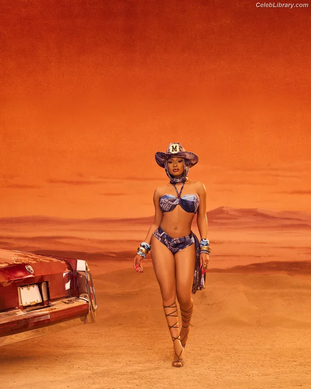 Megan Thee Stallion photo 14 of 1985