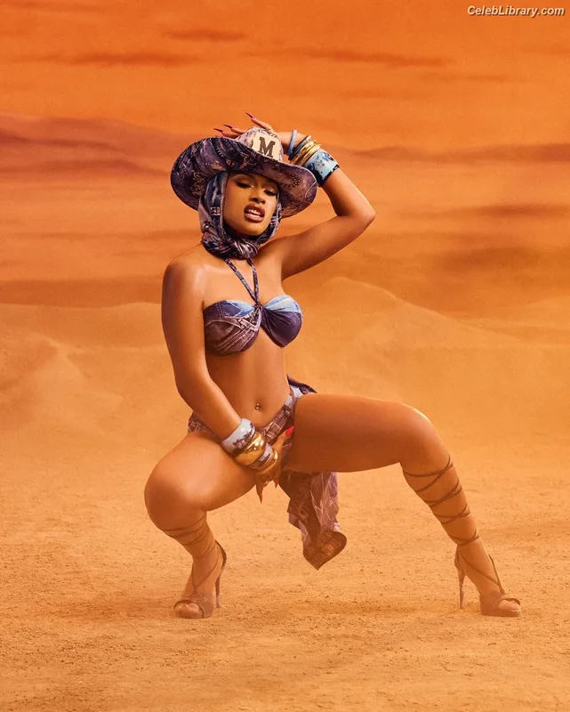 Megan Thee Stallion photo 22 of 1985