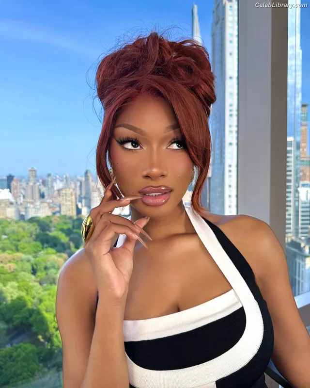 Megan Thee Stallion photo 18 of 1985