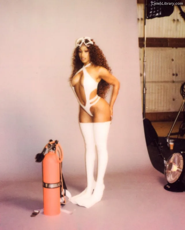 Megan Thee Stallion photo 24 of 1985