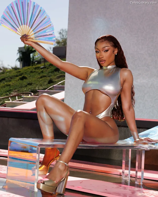 Megan Thee Stallion photo 1 of 1985