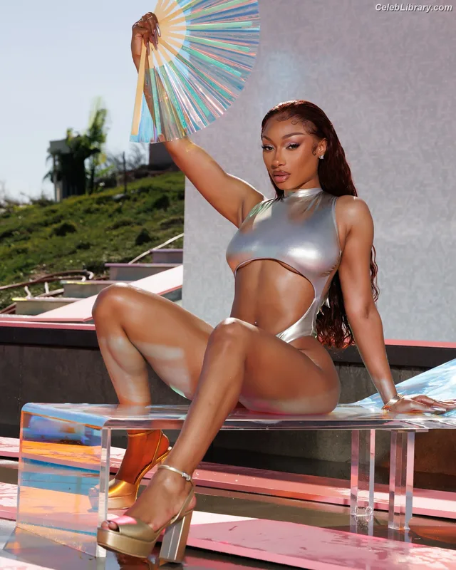 Megan Thee Stallion photo 6 of 1985