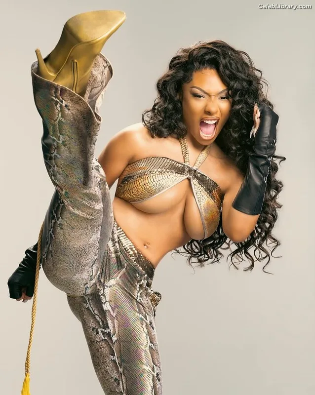 Megan Thee Stallion photo 3 of 1985