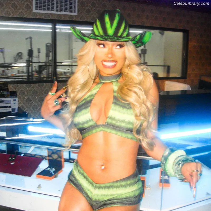 Megan Thee Stallion photo 13 of 1985