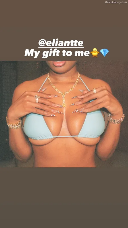 Megan Thee Stallion photo 13 of 1985