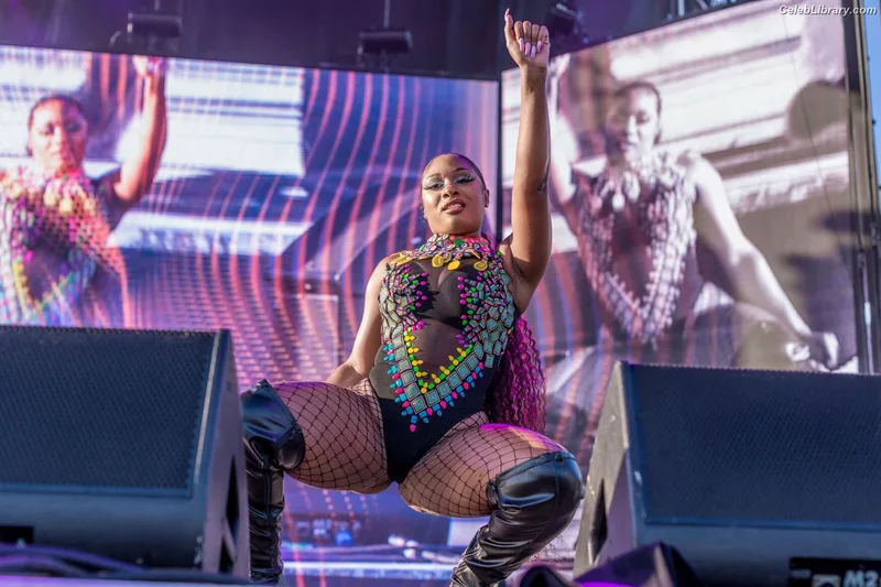 Megan Thee Stallion photo 1 of 1985