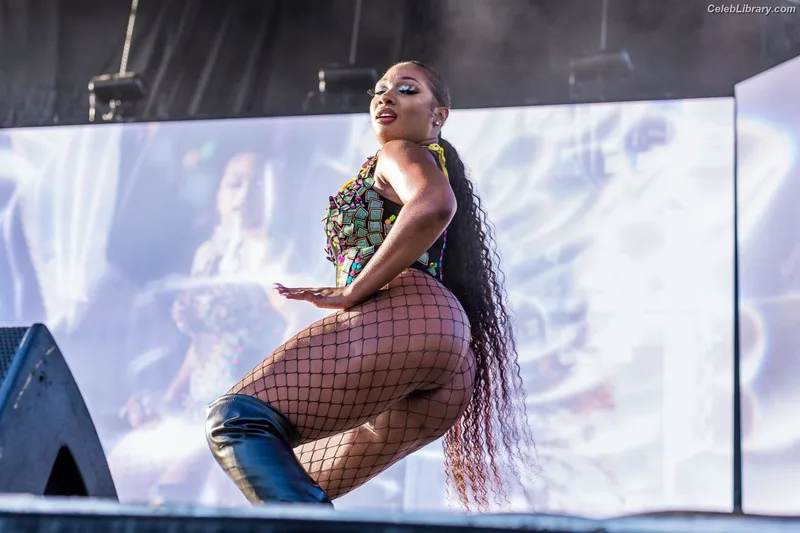 Megan Thee Stallion photo 2 of 1985