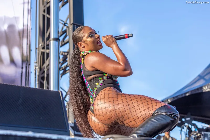 Megan Thee Stallion photo 5 of 1985