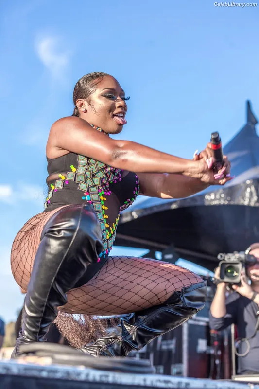 Megan Thee Stallion photo 6 of 1985