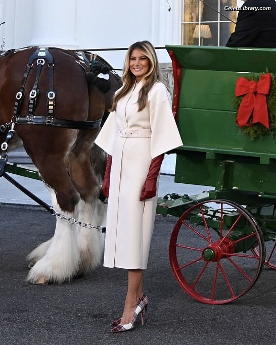 Melania Trump photo 11 of 221