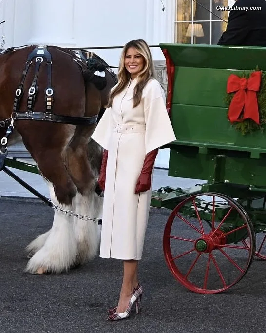 Melania Trump photo 11 of 221