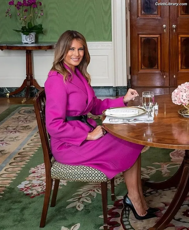 Melania Trump photo 5 of 221