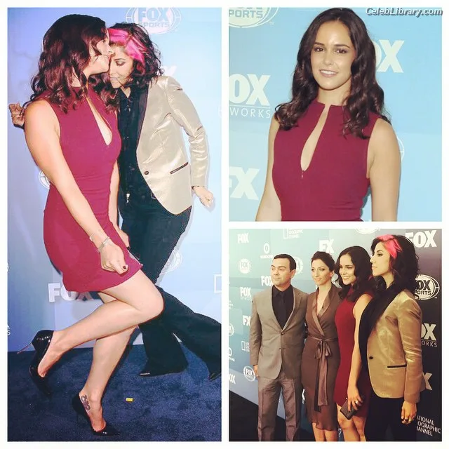 Melissa Fumero photo 6 of 177