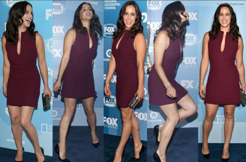 Melissa Fumero photo 18 of 177