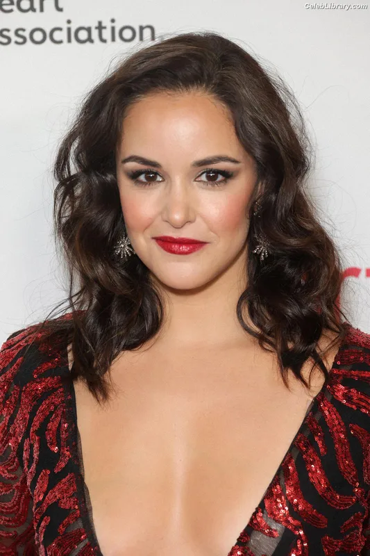 Melissa Fumero photo 20 of 177