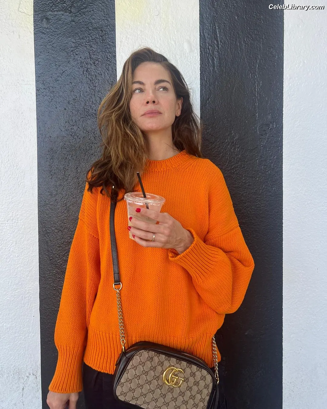 Michelle Monaghan photo 1 of 1009
