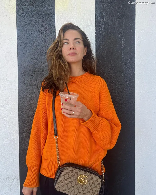 Michelle Monaghan photo 1 of 1010