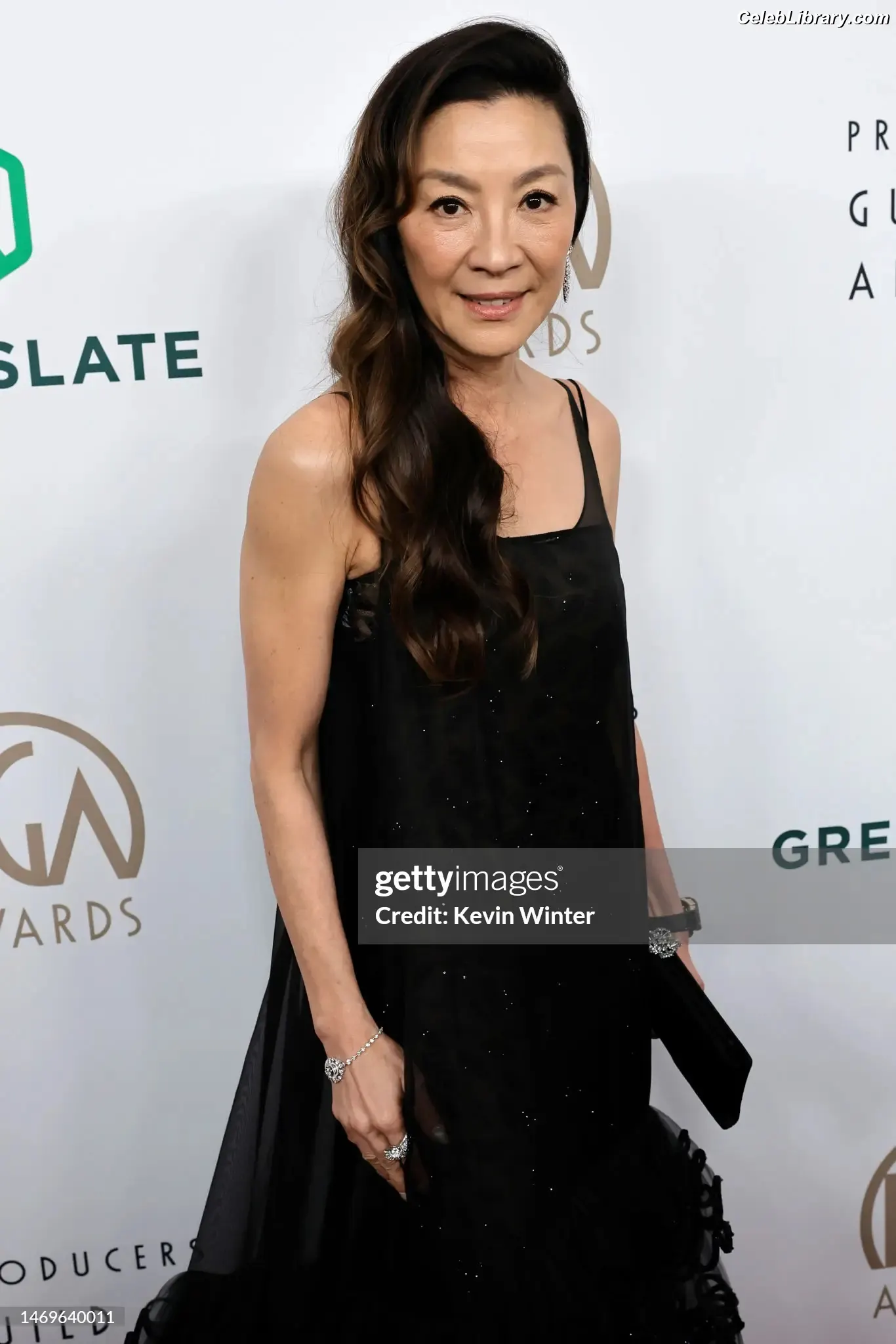 Michelle Yeoh photo 2 of 237