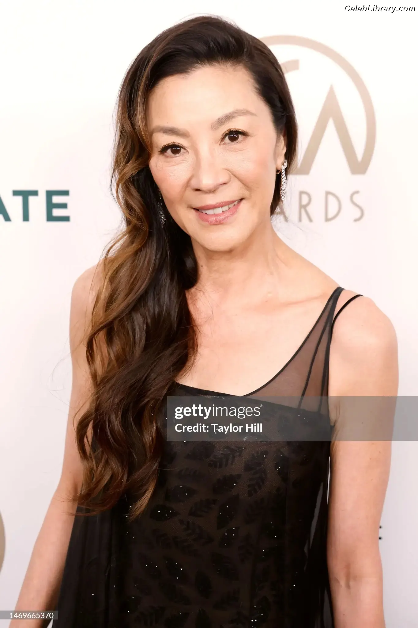 Michelle Yeoh photo 3 of 237