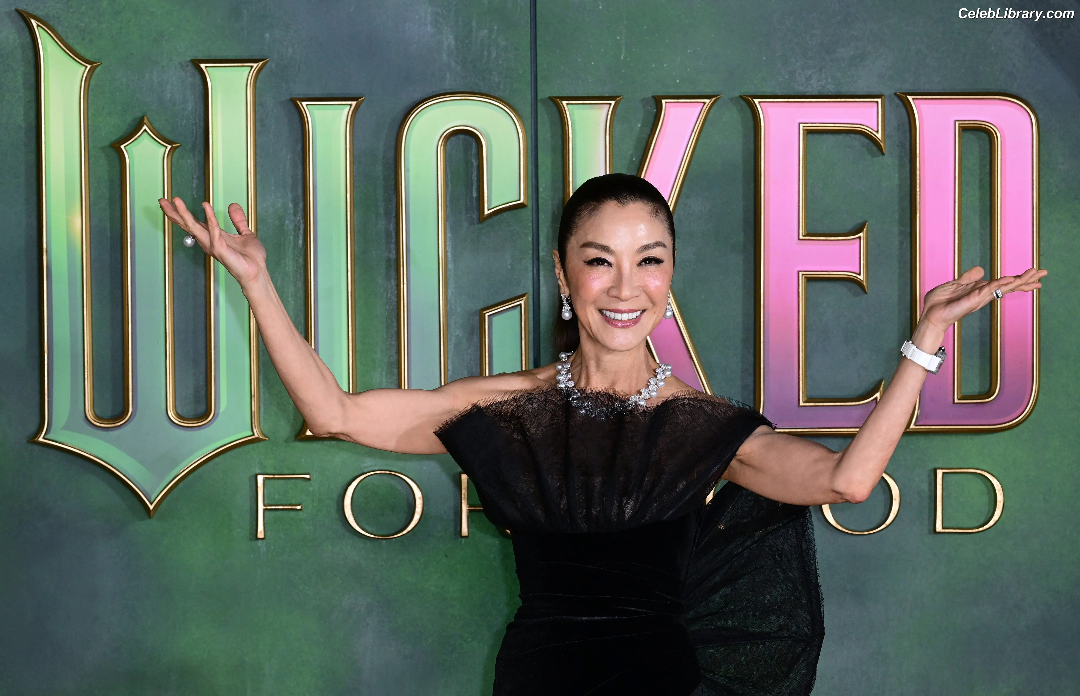 Michelle Yeoh photo 2 of 237