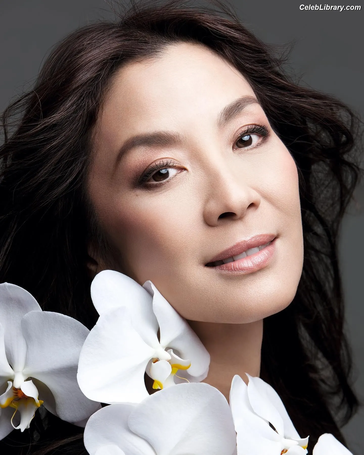 Michelle Yeoh photo 2 of 237