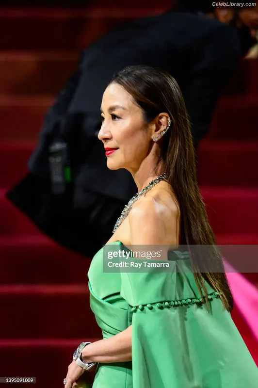 Michelle Yeoh photo 1 of 238