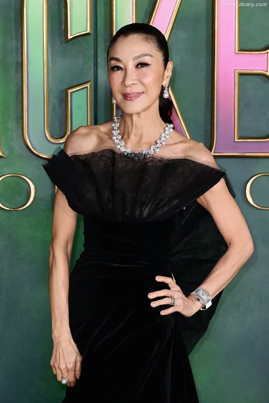 Michelle Yeoh photo 8 of 238